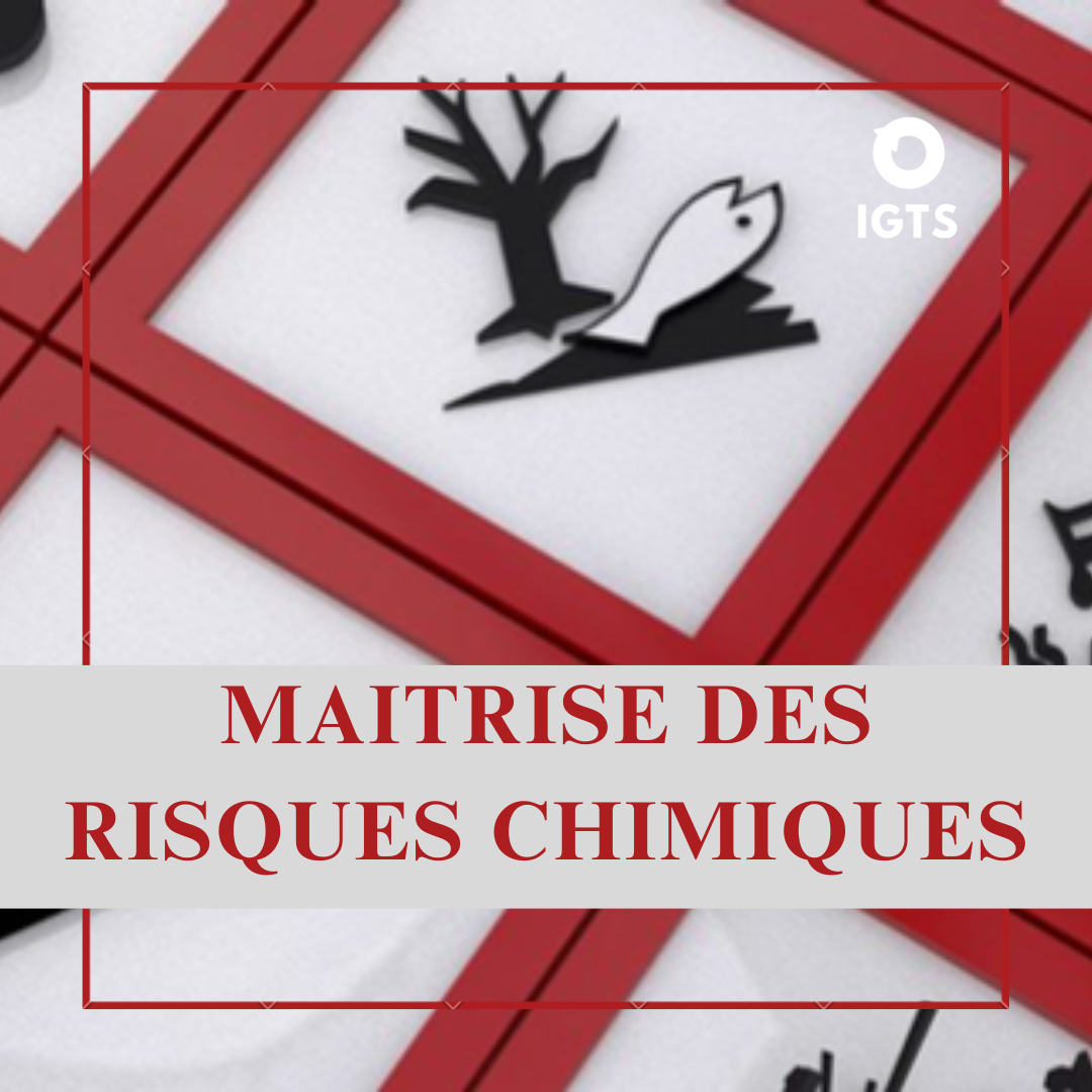 MAITRISE DES RISQUES CHIMIQUES