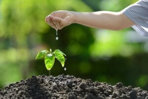 protection de l'environnement