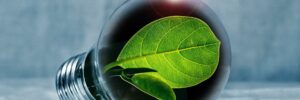 analyse environnementaux