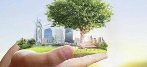 étude d'impact sur environnement