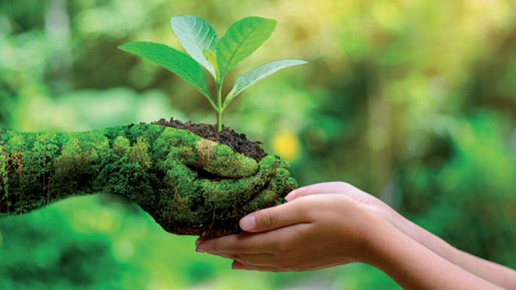 études d'impact environnementale